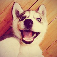 Ирина Таптыгина