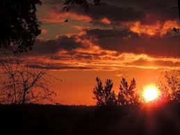 Эльвира Жантелова