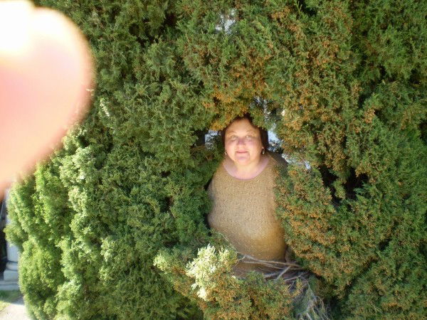 Лена Власова