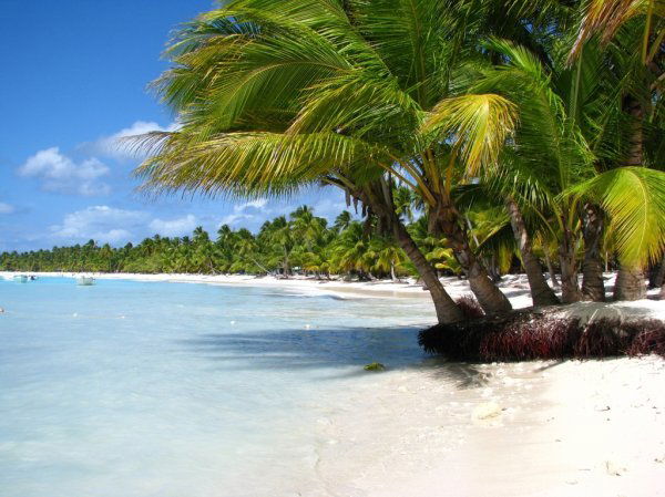 Верочка Павловна