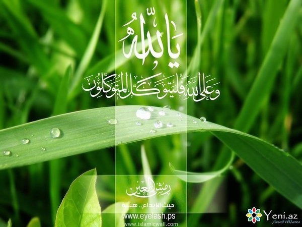 Хасанова Гульнара