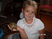 Дарья Старовойтова