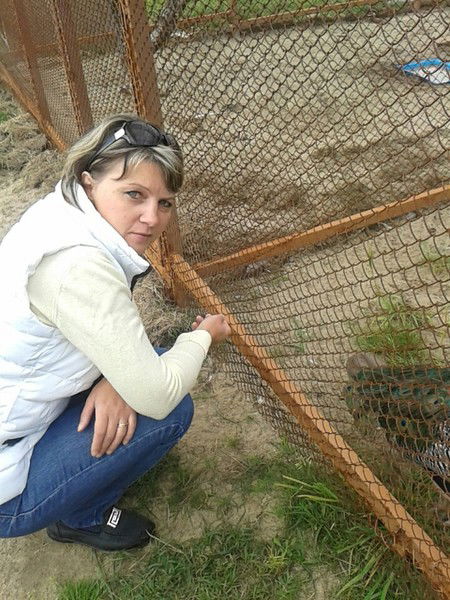 Елена Морозова