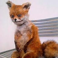 Лёша Кендысь