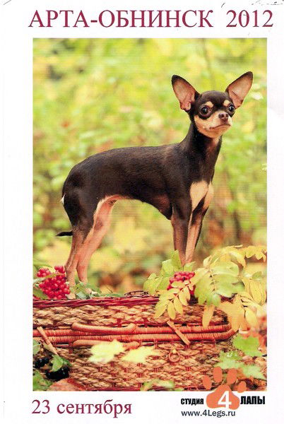 Зотова Юлия