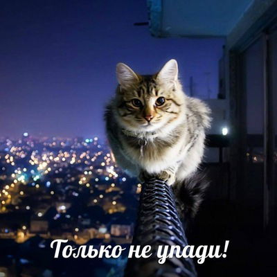 Саша Федько