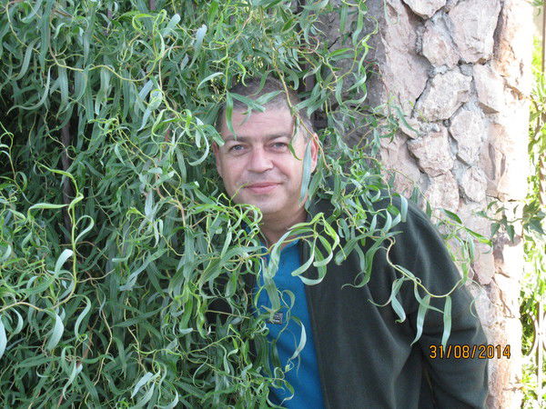 Алексей Касимцев