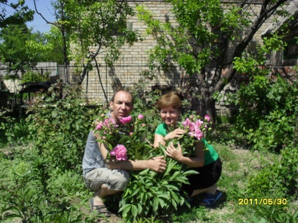 Оля Иршенко