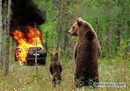 Игорь Жуков