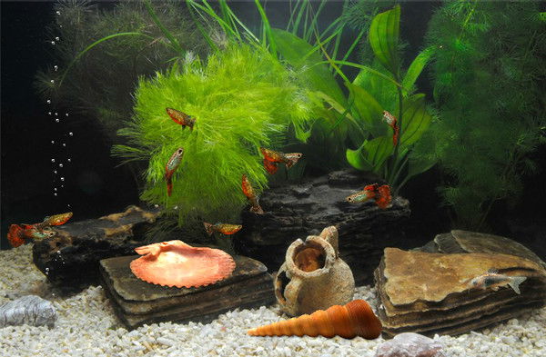 Иван Баженов