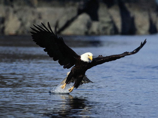 Зульфия Акмалова