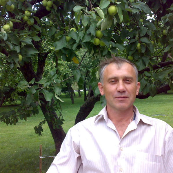 Андрей Виноградов