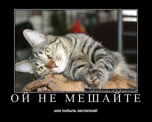 Нурияхметова Ильсияр