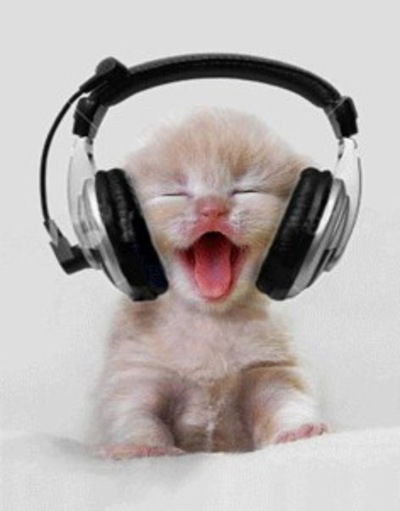 Никита Феськов