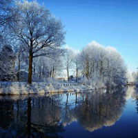 Алина Магаревич