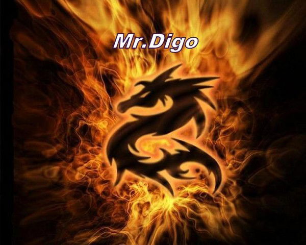 Mister Digo