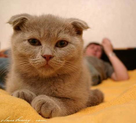 Марина Янская