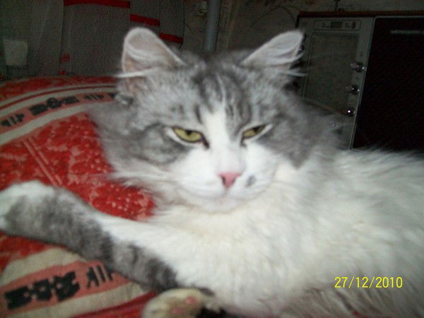 Юрий Черных