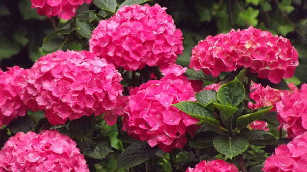 Татьяна Риттер