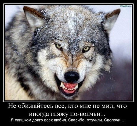 Валентин Бадаев