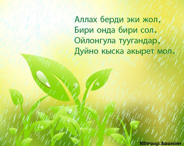 Живу Без Страха Верю В Аллаха