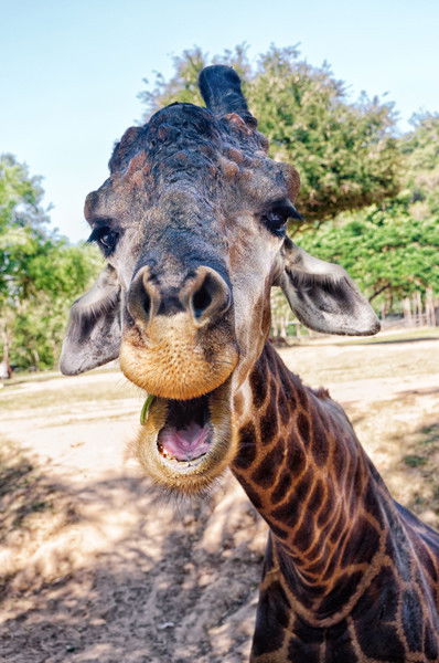 Денис Чепурнов