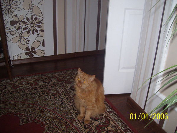 Ядвига Искрик