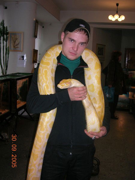 Александр Прилуцкий