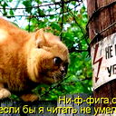 Татьяна Тихонова