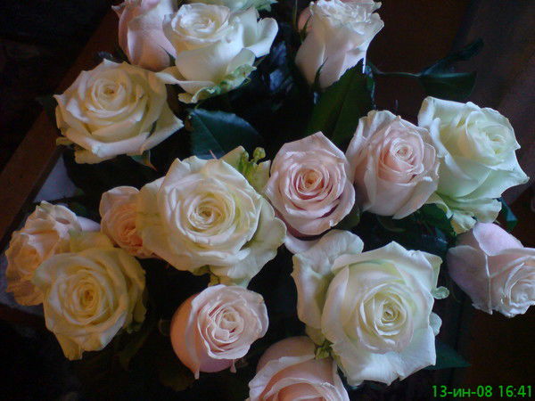 Наталья Калетина