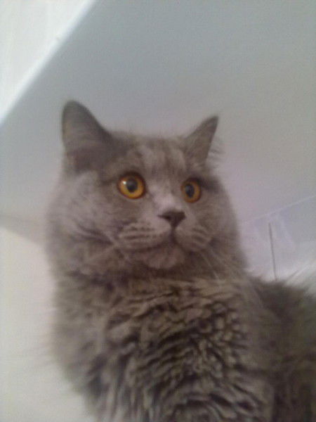 Татьяна Жовтикова