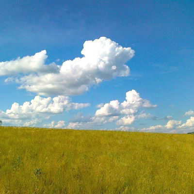 Наталья Шалюгина