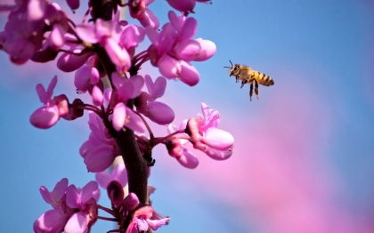 Екатерина Федораш