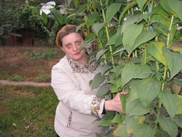 Елена Лукьянова(Печенкина