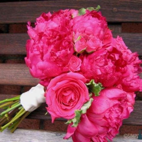 Елена Власко