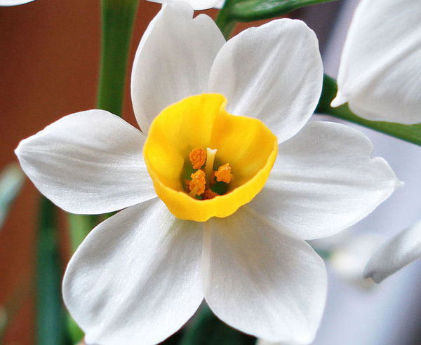 Андрей Головушкин