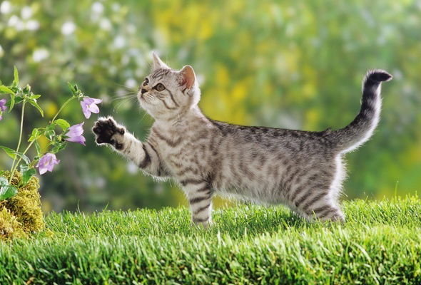 Настя Зырянова