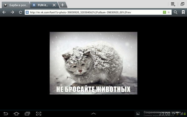 Лиза Лонгинова