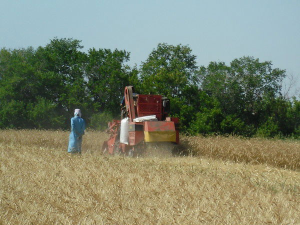 Татьяна Тимошенкова
