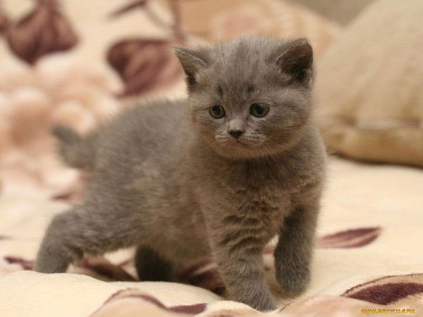 Екатеринбург (2) Пехотинцев, 5