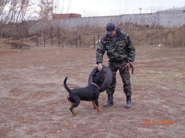 Андрей Бойков