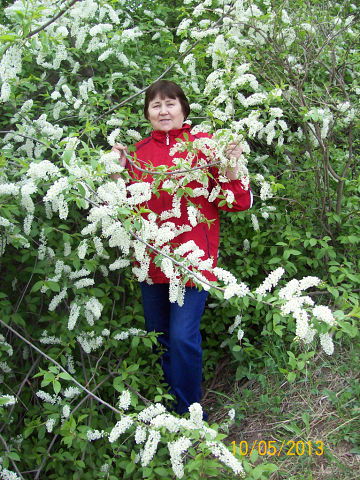 Людмила Андронова