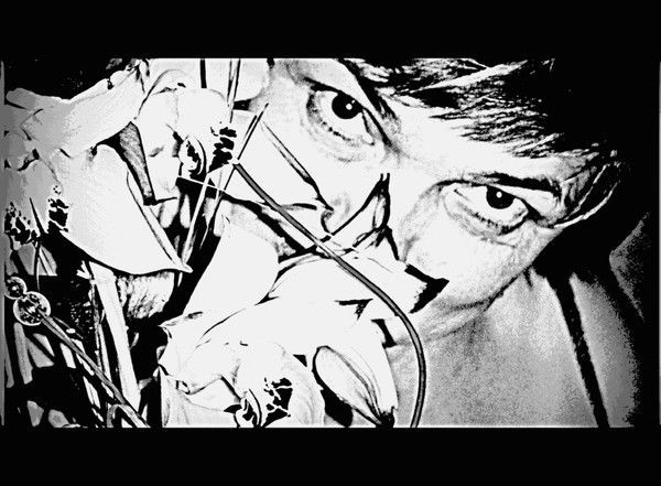 Вера Медведенко