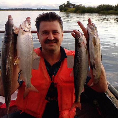 Сергей Вычегжанин