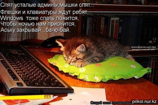 Сайлаубек Gfhgfhgf