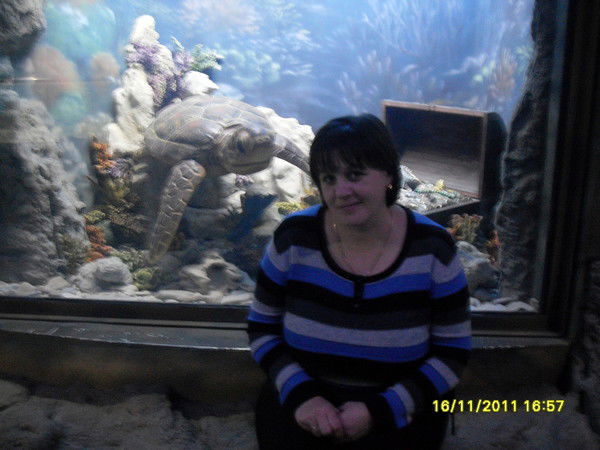 Неизвестно Неизвестно