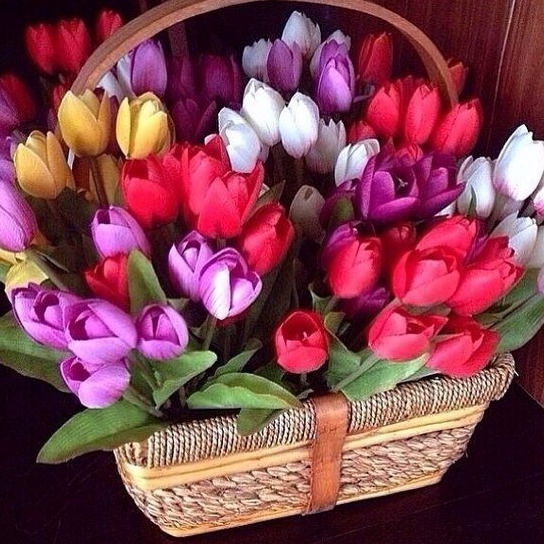 Леля Бетехтина