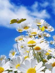 Динара Махметова