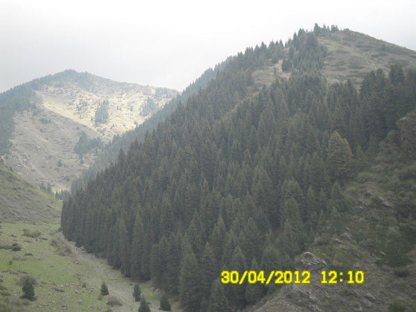 Тоо "химик-Рхбз"