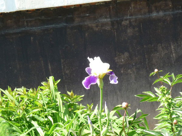 Маргарита Коломенская